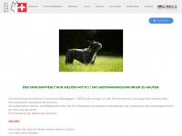 suisse-bully.ch Webseite Vorschau