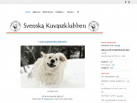 svkk.se Webseite Vorschau