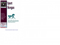sportmorgan.com Webseite Vorschau