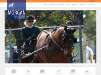 morganhorse.com.au