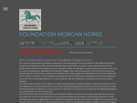 foundationmorganhorse.com