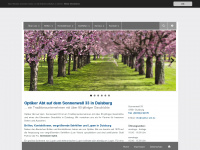 optiker-abt.de Webseite Vorschau