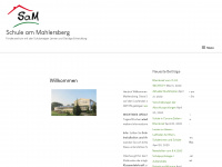 schule-am-mahlersberg.de Webseite Vorschau