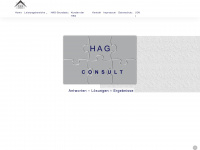 hag-consult.de Webseite Vorschau