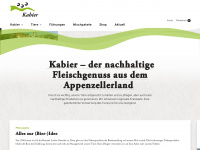 kabier.ch Webseite Vorschau