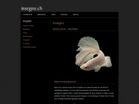insegno.ch Webseite Vorschau