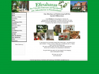 efeuhaus.info Thumbnail