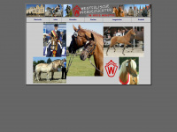 pferdezucht-muenster.de Webseite Vorschau
