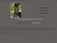 pferde-wilhelmer.de Webseite Vorschau