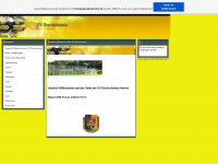 sv-bischofsmais.de.tl Webseite Vorschau