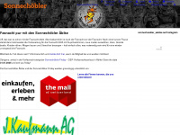sonnechoebler.ch Webseite Vorschau
