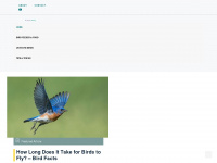 thayerbirding.com Webseite Vorschau