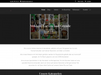 biondamasken.ch Webseite Vorschau