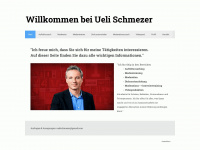 schmezer.ch Webseite Vorschau