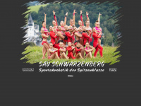 sav-schwarzenberg.de Webseite Vorschau