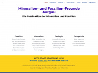 mffa.ch Webseite Vorschau