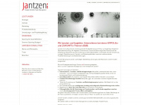 jantzen-consulting.de Webseite Vorschau