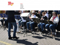 swingorchesterstelle.de Webseite Vorschau