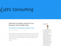efv-consulting.com