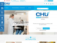 chu-rouen.fr Webseite Vorschau