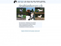 arabianhorses.ch Webseite Vorschau