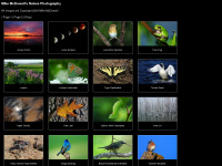 birddigiscoper.com Webseite Vorschau