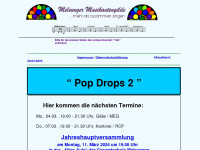 melsunger-musikantengilde.de Webseite Vorschau