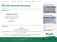 steuerberg.at Webseite Vorschau