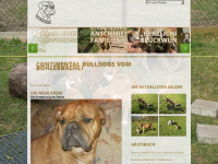continentalbulldogs.ch Webseite Vorschau