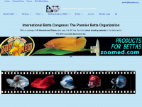 ibcbettas.org Webseite Vorschau