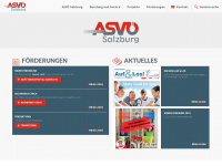 asvoe-sbg.at Webseite Vorschau