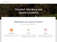 alteburg.ch Webseite Vorschau