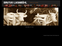 brutus.ch Webseite Vorschau
