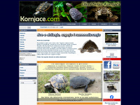 kornjace.com Webseite Vorschau