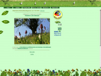 biodiv-ebern.de Webseite Vorschau