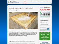teppich-reinigung24.de Webseite Vorschau