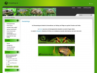 pacmanfrogs.de Webseite Vorschau