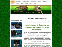 continental-bulldog-jeany.de Webseite Vorschau