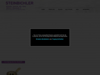 steinbichler-austria.com Webseite Vorschau