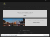 pluesch.at Webseite Vorschau