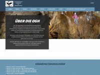 ogh.ch Webseite Vorschau