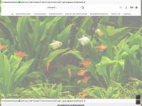 aquariumpflanzen.de Webseite Vorschau