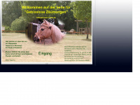 bitlessdream-horse.de Webseite Vorschau