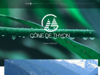 conedethyon.ch Webseite Vorschau