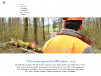 zso-winterthur-land.ch Webseite Vorschau