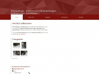 emil-spalinger.ch Webseite Vorschau