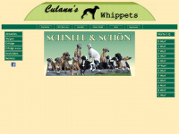 culanns-whippets.de Webseite Vorschau