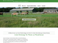 reitanlage-linnhof.de Webseite Vorschau