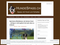 hundespass.ch Webseite Vorschau