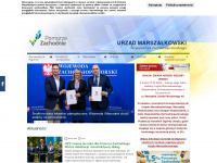 wzp.pl Webseite Vorschau